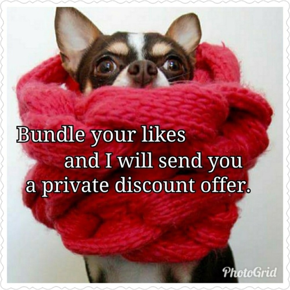 🌺🌺🌺🌺